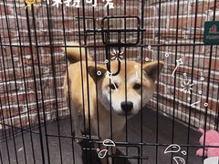 -呼吸沉浸式剧场(甘露园店)