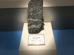 -辽宁古生物博物馆