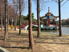 -金砂公园