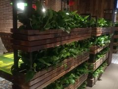 -辛香汇(大华第一坊店)