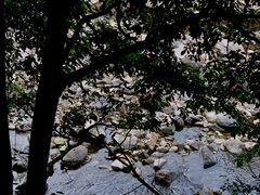 -龙湾潭国家森林公园