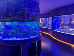 -上和臻品中国菜(花园街店)