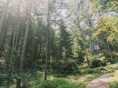 -萨尔浒风景区