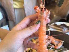 -圣丰索菲特·2 On 988 Café 自助餐厅