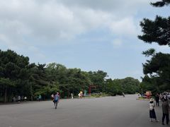 -北陵公园
