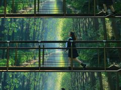 -合肥滨湖国家森林公园