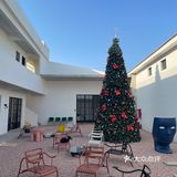 东莞新店  万江首家中古家具美学实验室🪑