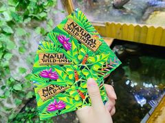 -上海大自然野生昆虫馆(东方明珠·爬宠昆虫探索中心)