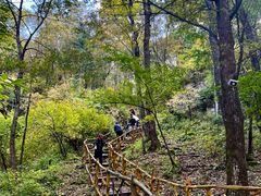 -香炉山国家森林公园