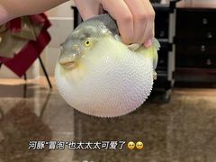 -肆月河豚·淮扬菜·湘菜(华天店)