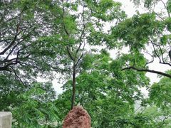 -天台山赤城山景区