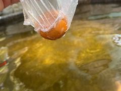 -明月山天沐温泉度假村