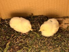 -新荟城(望京店)