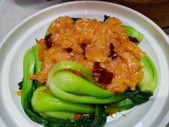 酸辣广肚-松针蔡记蒸饺(花园路店)