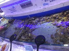 -澜悦港海鲜体验主题餐厅