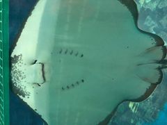 -福州罗源湾海洋世界旅游区