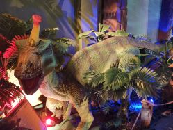 -恐龙探索乐园(磁器口店)