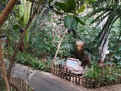 -呀路古热带植物园