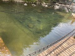 -长谷洞天