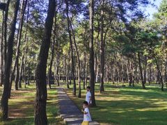 -Club Med地中海俱乐部·桂林度假村