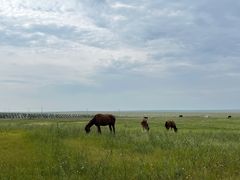 -呼和诺尔旅游景区