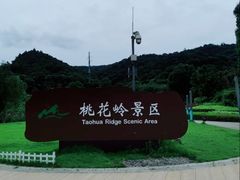 -桃花岭景区