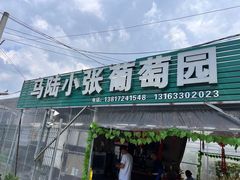 -马陆小张葡萄园农家乐