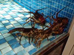 -蓝钻·国际美食海鲜自助百汇(西直门店)