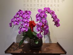 -中和·国风茶馆(愚园路店)