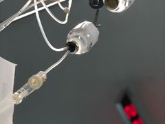 -上海中医药大学附属曙光医院(东部)