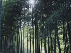 -安吉龙王山峡谷漂流