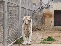 -黔灵山公园