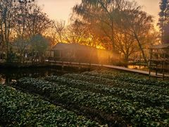 -溱湖国家湿地公园