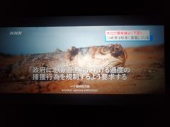 -SFC上影影城(广州店)