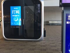 -上海浦东国际机场-T2航站楼