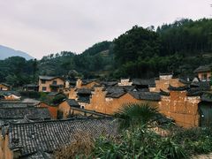 -杨家堂村