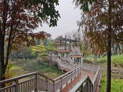 -广东花都湖国家湿地公园