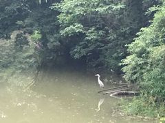 -浣花锦绣(杜甫草堂店)