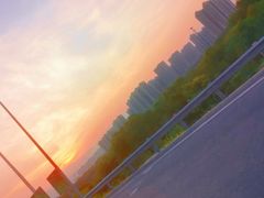 -御林古桑园
