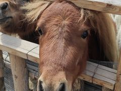 -水上乐园·欢乐世界