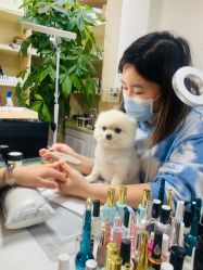 -Touch Nail·品质·美甲美睫