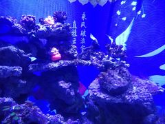 -烟台海昌鲸鲨海洋公园