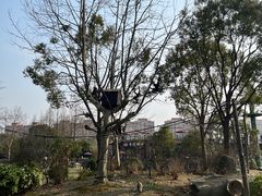 -上海野生动物园