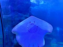 -左海海底世界