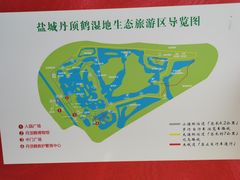 -盐城丹顶鹤湿地生态旅游区