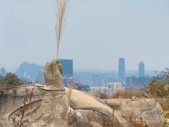 -贵州省植物园