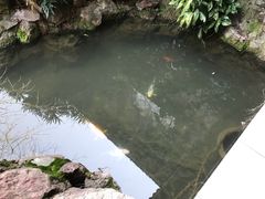 -中国茶叶博物馆(双峰馆区)