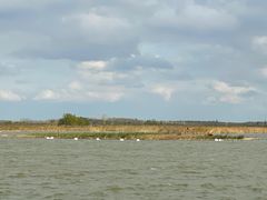 -盐城丹顶鹤湿地生态旅游区