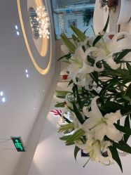 -丽美妍医疗美容·皮秒·立体分层抗衰