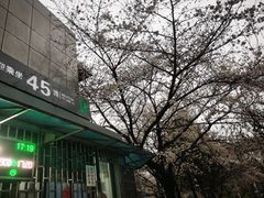 -南浦大桥长途旅游客运站